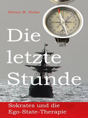 cover image of Die letzte Stunde
